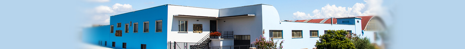 Azienda